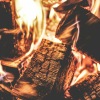 fire burning wood